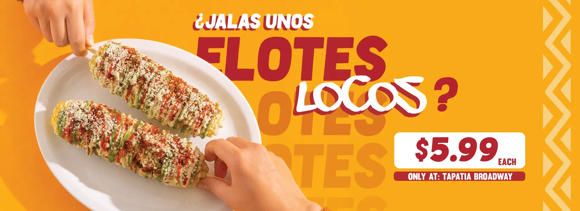 TAP-ELOTES-CoverWbPC